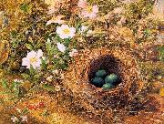 Bird's Nest and Dogroses Hill, John William